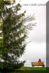domaine_maizerets, 2008 (93862 octets)