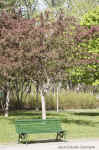 domaine _maizerets_2009 (317374 octets)