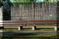 parc_cartier_brebeuf (83586 octets)
