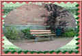 banc et poubelle, M�nster (54678 octets)